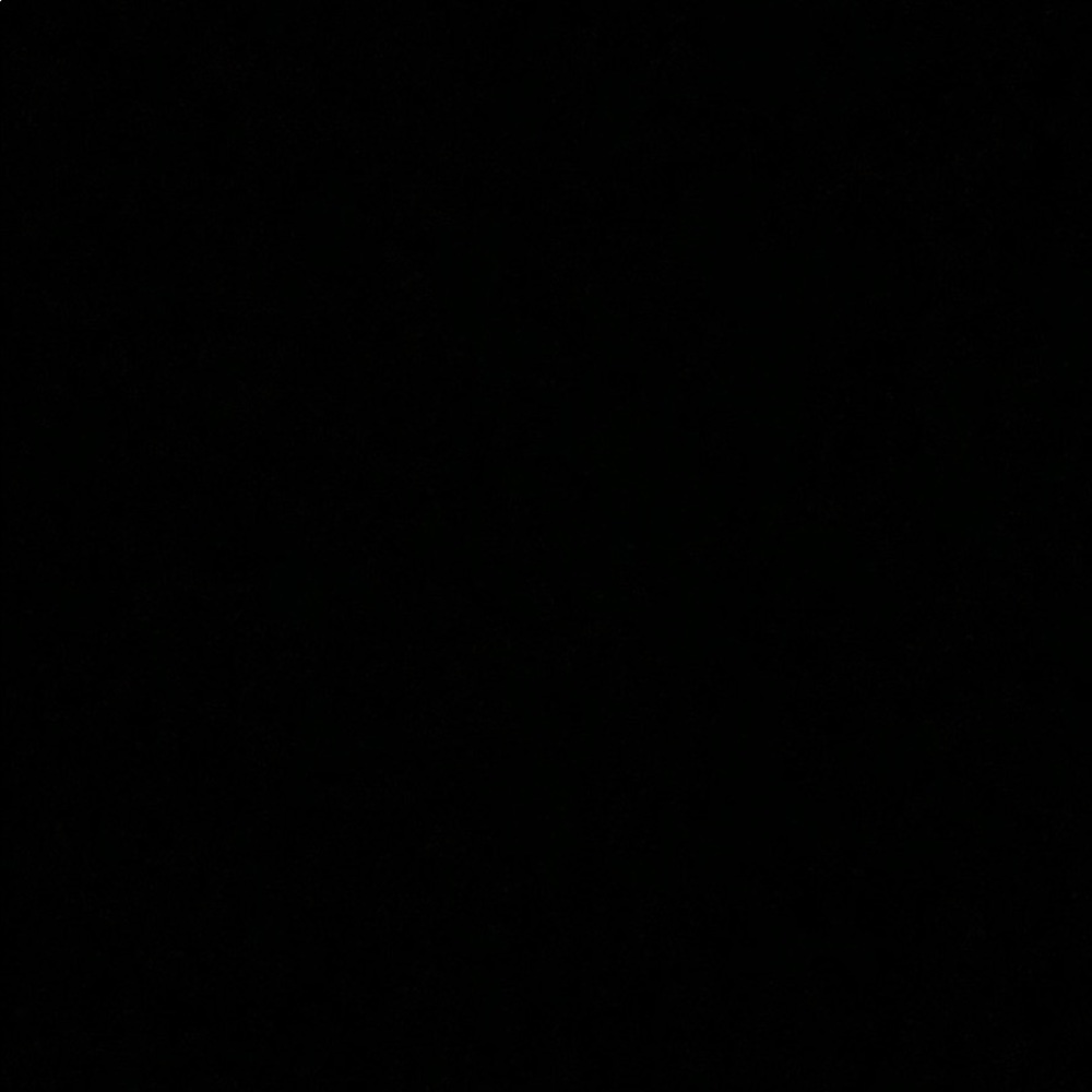 Meet your Posher, Hayley